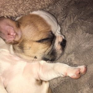 Meet your Posher, Gaby